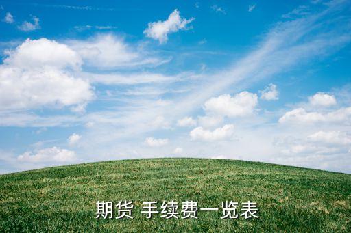  期貨 手續(xù)費一覽表