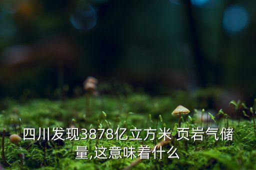 中國(guó)中化與國(guó)內(nèi)頁(yè)巖氣田