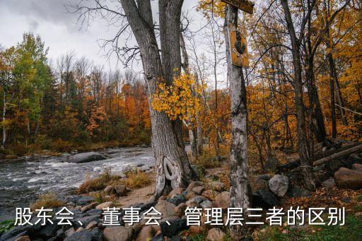 上市公司董事會權(quán)利,只有上市公司才有董事會嗎