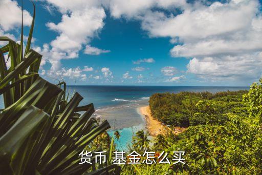 如何買貨幣型基金,貨幣型基金有風(fēng)險嗎