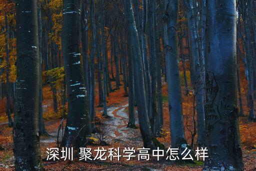 聚龍集團學華為