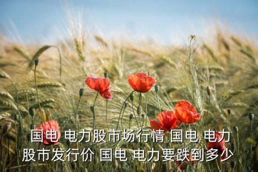  國(guó)電 電力股市場(chǎng)行情 國(guó)電 電力股市發(fā)行價(jià) 國(guó)電 電力要跌到多少