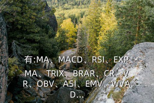 有:MA、MACD、RSI、EXPMA、TRIX、BRAR、CR、VR、OBV、ASI、EMV、WVAD...