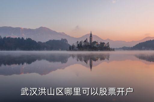 申銀萬(wàn)國(guó)證券股份有限公司上海龍漕路營(yíng)業(yè)部