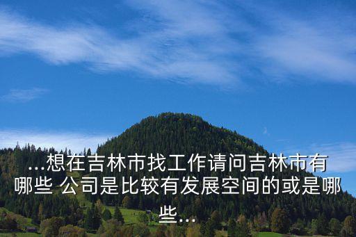 ...想在吉林市找工作請(qǐng)問(wèn)吉林市有哪些 公司是比較有發(fā)展空間的或是哪些...