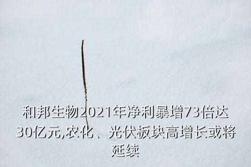和邦電子商務有限公司,邦電子商務有限公司怎么投訴他了停用了