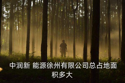 中潤(rùn)國(guó)際能源集團(tuán),山西國(guó)際能源集團(tuán)待遇怎么樣