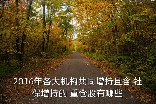 2016年各大機構共同增持且含 社保增持的 重倉股有哪些