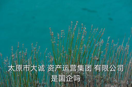 太原市大誠 資產(chǎn)運營集團 有限公司是國企嗎