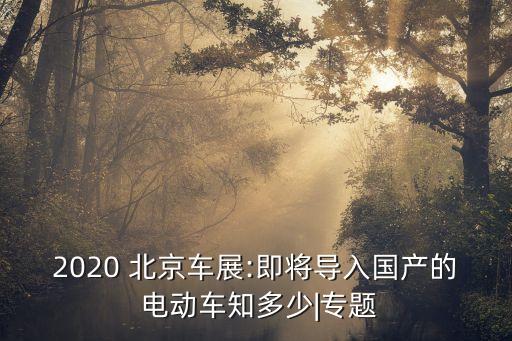 2020 北京車(chē)展:即將導(dǎo)入國(guó)產(chǎn)的 電動(dòng)車(chē)知多少|(zhì)專(zhuān)題