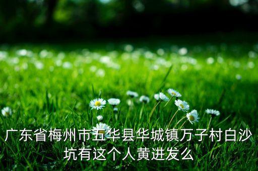 廣東省梅州市五華縣華城鎮(zhèn)萬子村白沙坑有這個人黃進發(fā)么