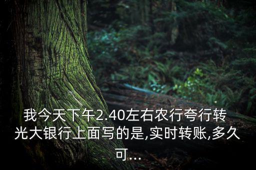 我今天下午2.40左右農(nóng)行夸行轉(zhuǎn) 光大銀行上面寫的是,實(shí)時轉(zhuǎn)賬,多久可...