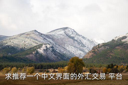 求推薦一個(gè)中文界面的外匯交易 平臺