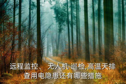 武漢供電公司無(wú)人機(jī)巡檢,供電公司無(wú)人機(jī)巡檢新聞稿