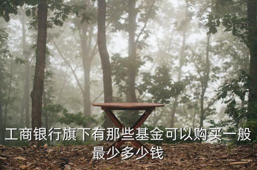 工商銀行旗下有那些基金可以購(gòu)買一般最少多少錢