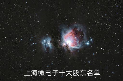  上海微電子十大股東名單