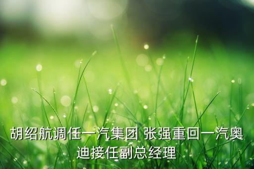 融創(chuàng)中國張強(qiáng)個人經(jīng)歷