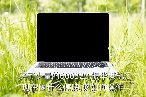 買了少量的600320 振華港機,現(xiàn)在因什么停牌,該如何操作