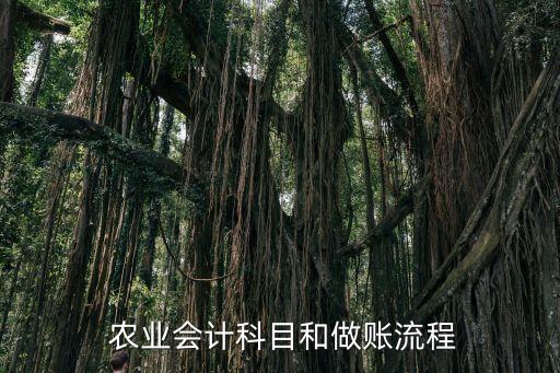  農業(yè)會計科目和做賬流程