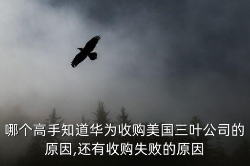 并購美國公司,美國的并購浪潮