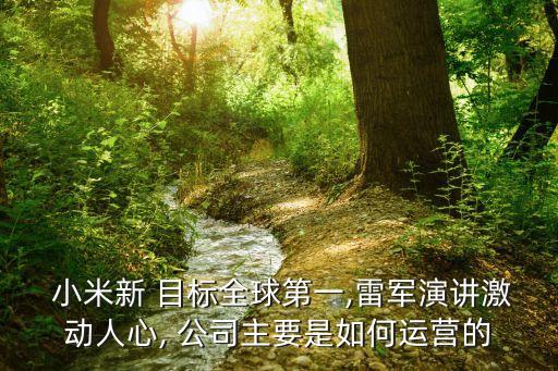 小米新 目標(biāo)全球第一,雷軍演講激動人心, 公司主要是如何運營的