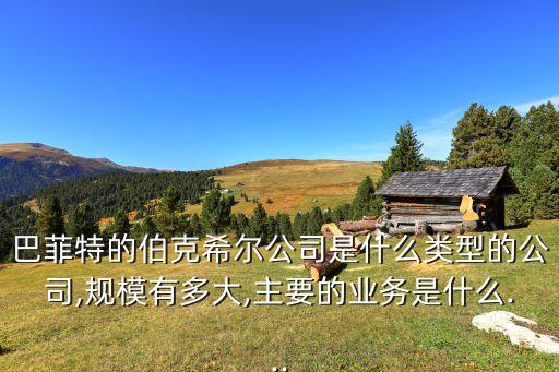 巴菲特的伯克希爾公司是什么類型的公司,規(guī)模有多大,主要的業(yè)務是什么...