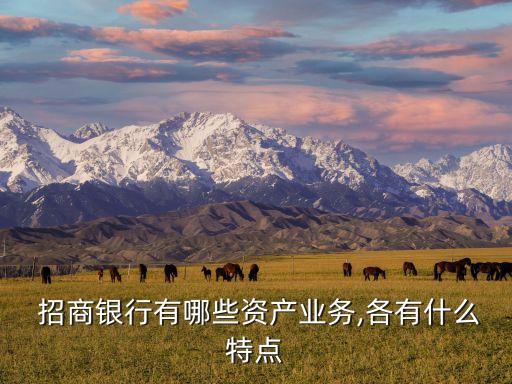  招商銀行有哪些資產(chǎn)業(yè)務(wù),各有什么特點