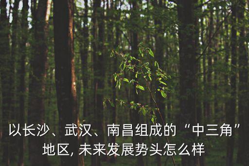 以長(zhǎng)沙、武漢、南昌組成的“中三角”地區(qū), 未來發(fā)展勢(shì)頭怎么樣