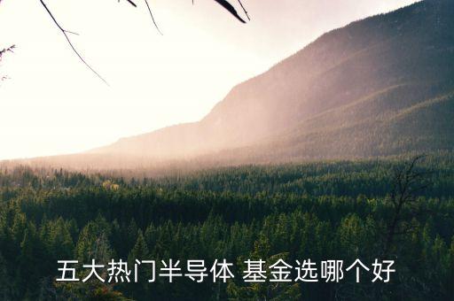 五大熱門半導體 基金選哪個好
