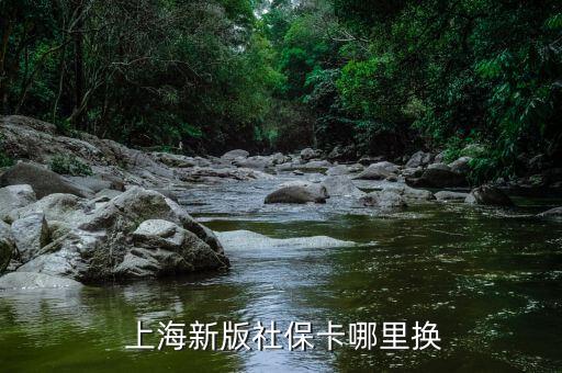  上海新版社?？睦飺Q