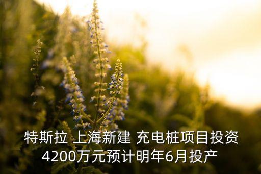  特斯拉 上海新建 充電樁項目投資4200萬元預計明年6月投產(chǎn)