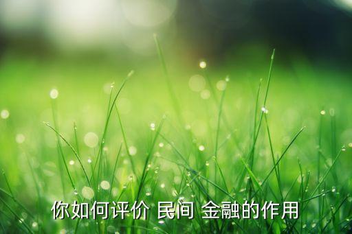 你如何評(píng)價(jià) 民間 金融的作用