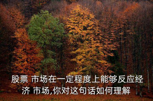  股票 市場在一定程度上能夠反應(yīng)經(jīng)濟 市場,你對這句話如何理解