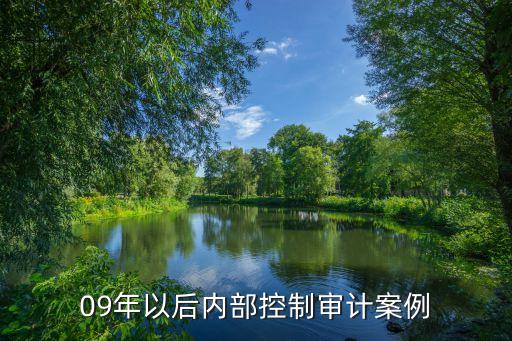 中國聯(lián)通財(cái)務(wù)分析報(bào)告2015