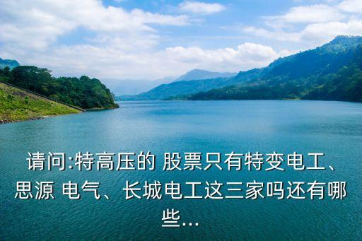 請問:特高壓的 股票只有特變電工、思源 電氣、長城電工這三家嗎還有哪些...