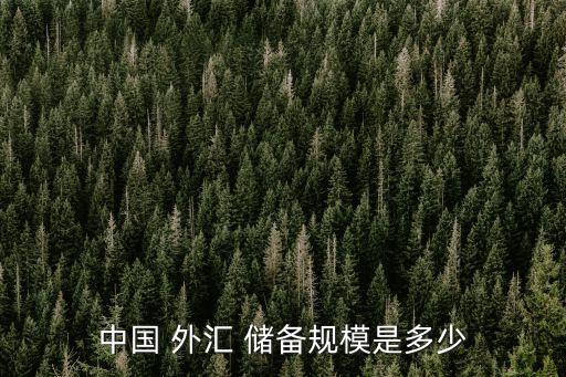 中國 外匯 儲(chǔ)備規(guī)模是多少