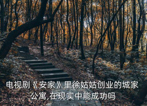 電視劇《安家》里徐姑姑創(chuàng)業(yè)的城家 公寓,在現(xiàn)實(shí)中能成功嗎