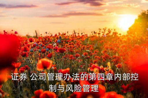  證券 公司管理辦法的第四章內(nèi)部控制與風險管理