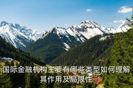 國際金融機(jī)構(gòu)主要有哪些類型如何理解其作用及局限性