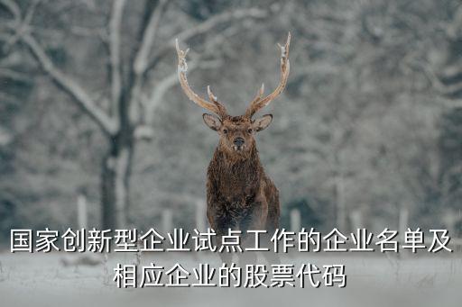 國家創(chuàng)新型企業(yè)試點(diǎn)工作的企業(yè)名單及相應(yīng)企業(yè)的股票代碼