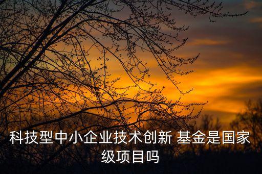 科技型中小企業(yè)技術(shù)創(chuàng)新 基金是國家級(jí)項(xiàng)目嗎