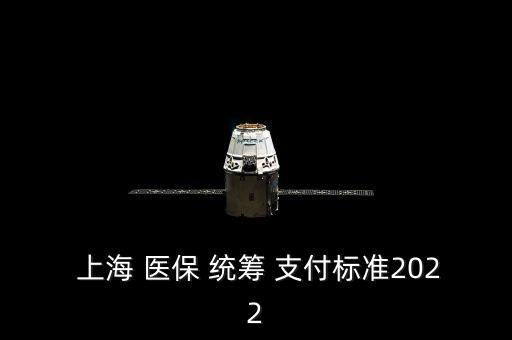  上海 醫(yī)保 統(tǒng)籌 支付標(biāo)準(zhǔn)2022