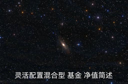 靈活配置混合型 基金 凈值簡(jiǎn)述