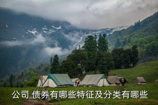 新公司債券類型,注冊(cè)新公司投資人類型選什么