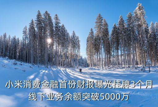 小米消費(fèi)金融首份財(cái)報(bào)曝光掛牌3個(gè)月線下業(yè)務(wù)余額突破5000萬(wàn)