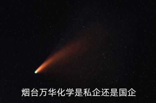 煙臺萬華實業(yè)集團有限公司