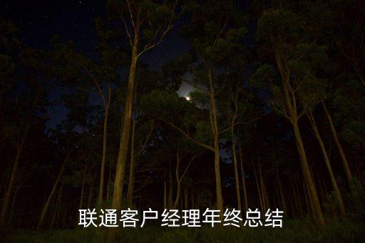 聯通客戶經理年終總結