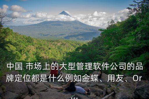 中國(guó) 市場(chǎng)上的大型管理軟件公司的品牌定位都是什么例如金蝶、用友、Or...