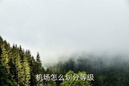  機(jī)場(chǎng)怎么劃分等級(jí)