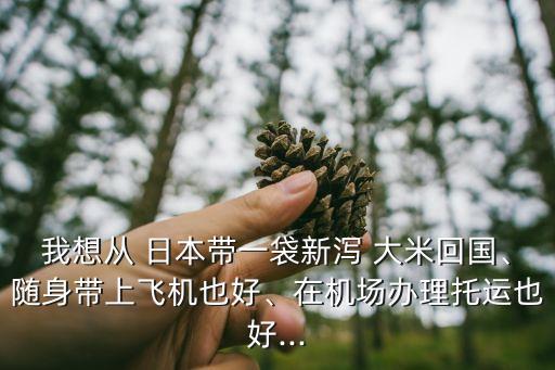 我想從 日本帶一袋新瀉 大米回國、隨身帶上飛機(jī)也好、在機(jī)場辦理托運(yùn)也好...